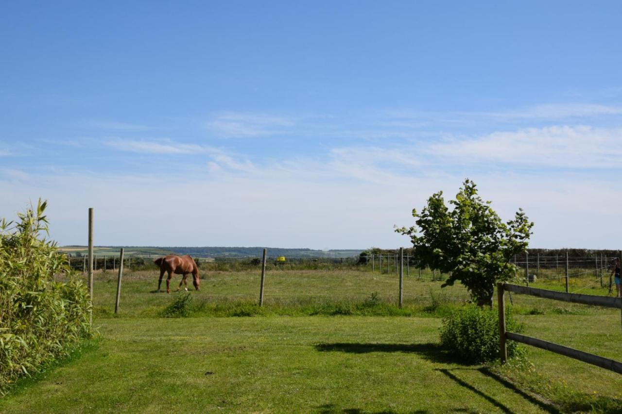 Le Clos De L'Angley Gites Et Ecurie Caffiers Exterior foto